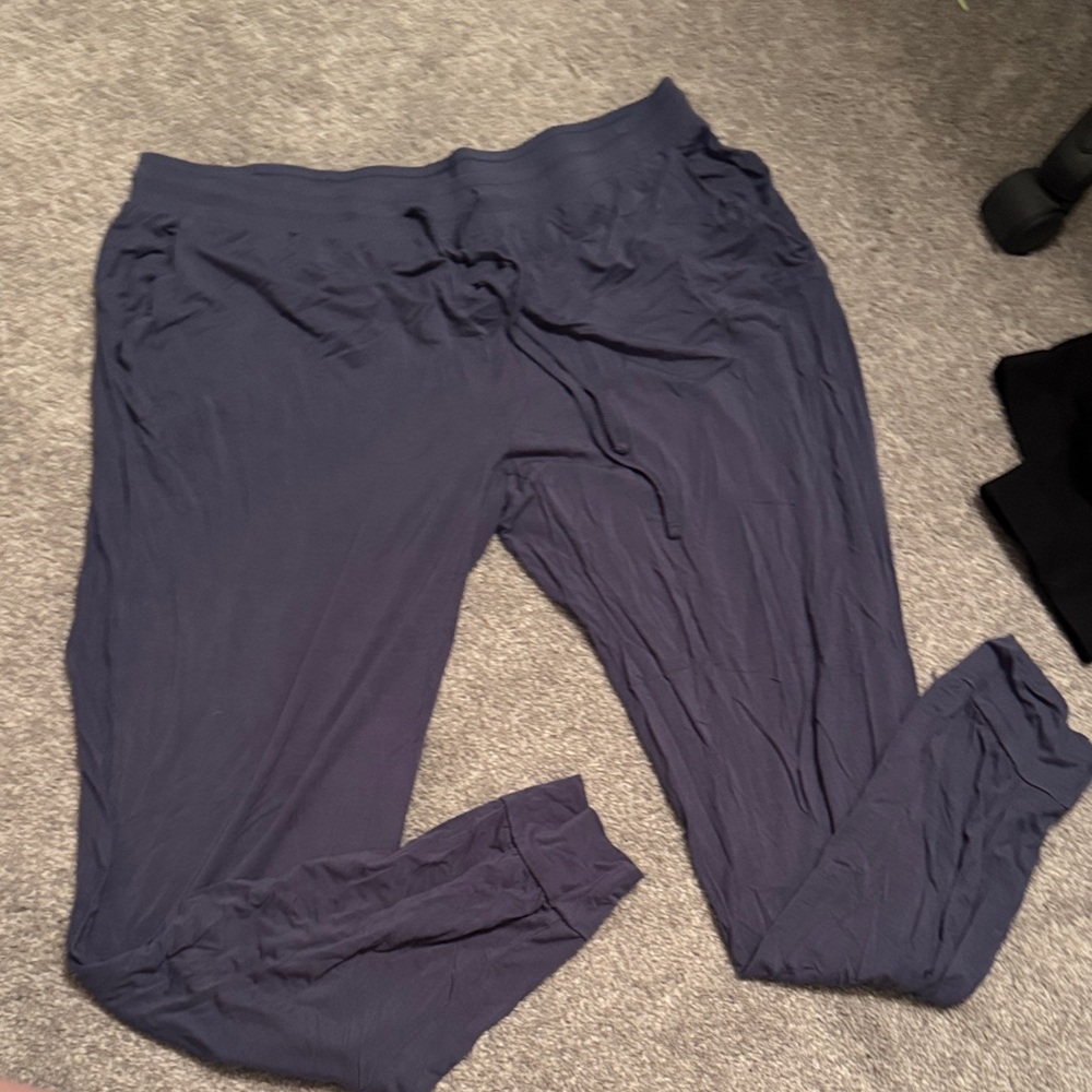 Kindred Bravely Blue Jogger Pants